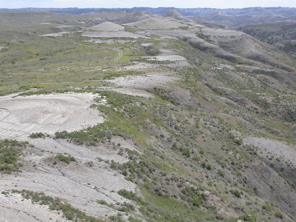 Eriogonum pauciflorum habitat The clayey slopes and knolls… Flickr