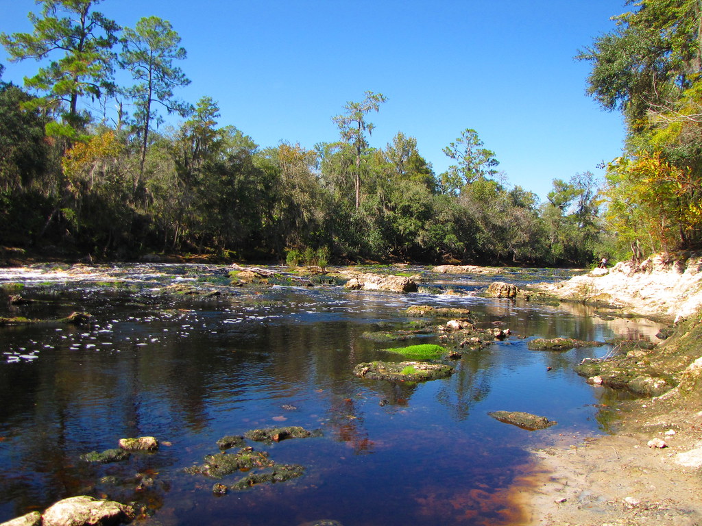 Big Shoals from Florida Trail 3 Florida Trail from Big Sho… Flickr