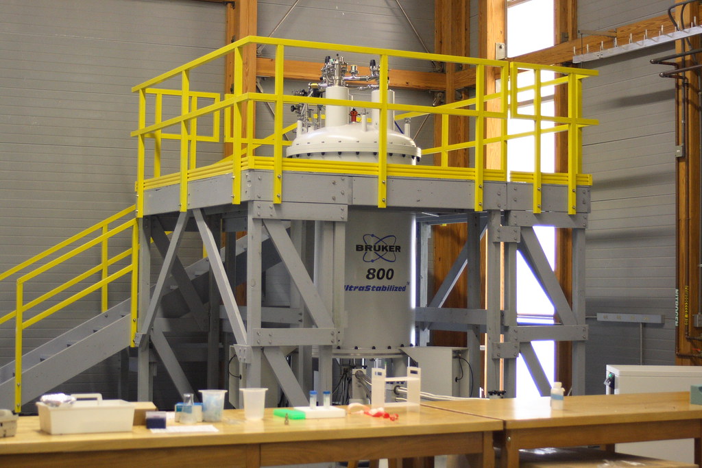 NMR National High Field Lab, Tallahassee,… Sarah