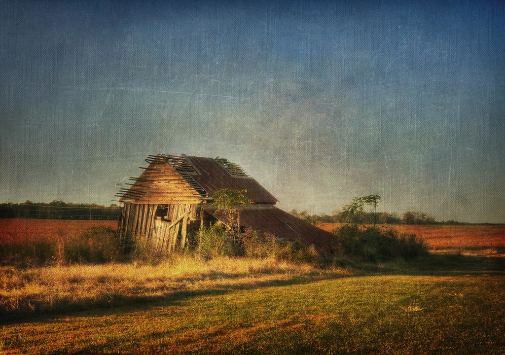 Shellman, View Large On Black Steve Robinson Flickr