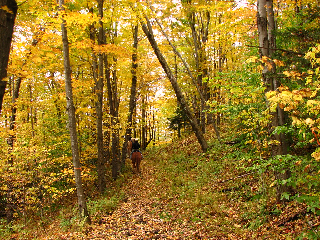 Horseback riding in Autumn, Green Mountains of Vermont Flickr