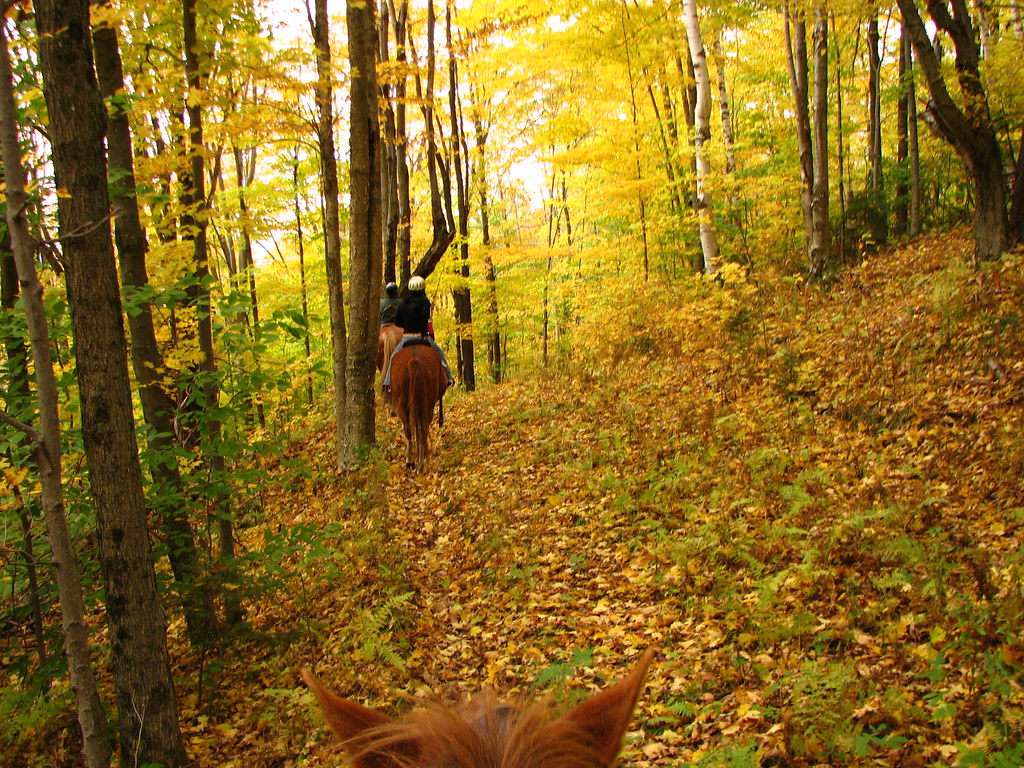 Horseback riding in Autumn, Green Mountains of Vermont Flickr