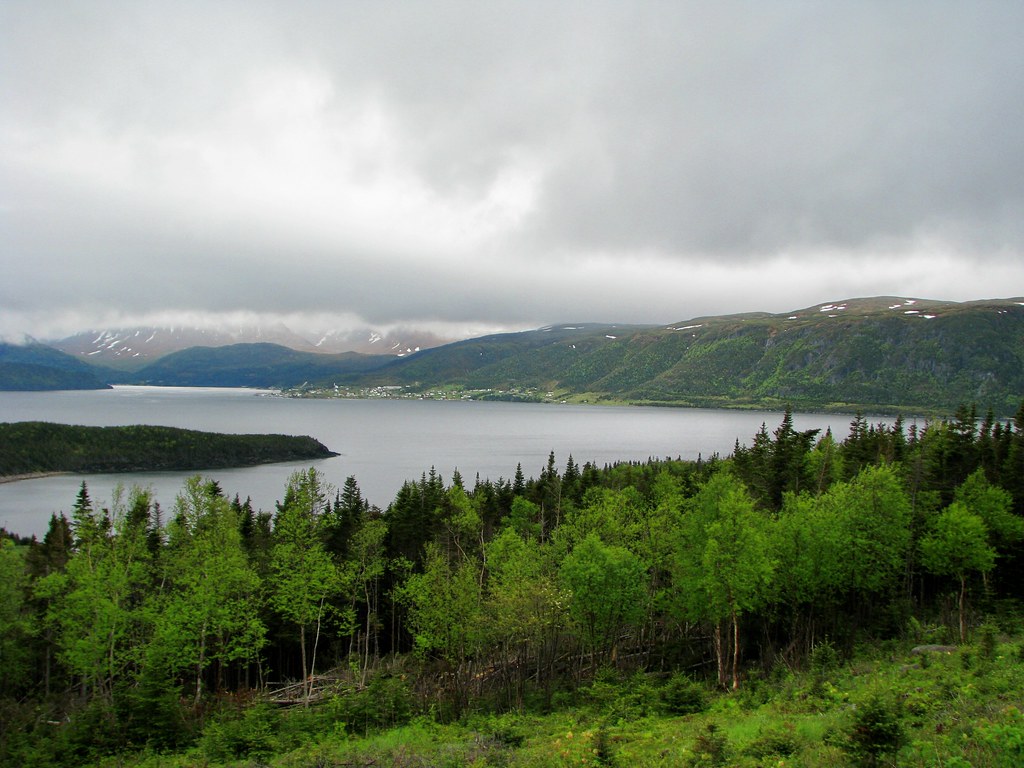 Norris Arm, Newfoundland Lucia Flickr