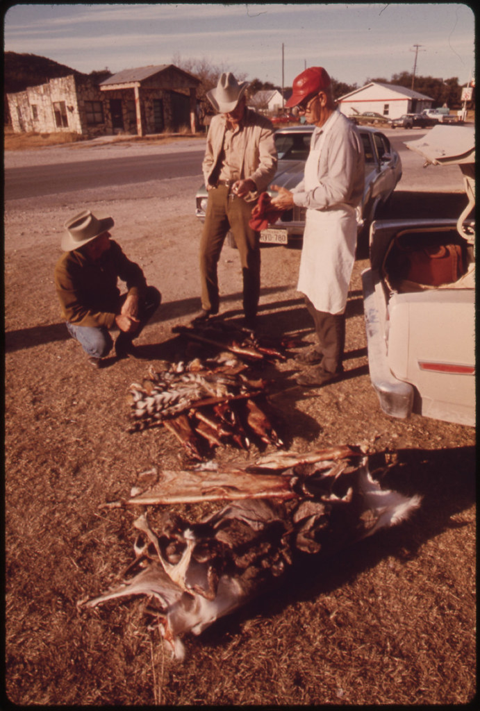 Farmer Selling His Furs to a Buyer in Leakey, Texas, near … Flickr
