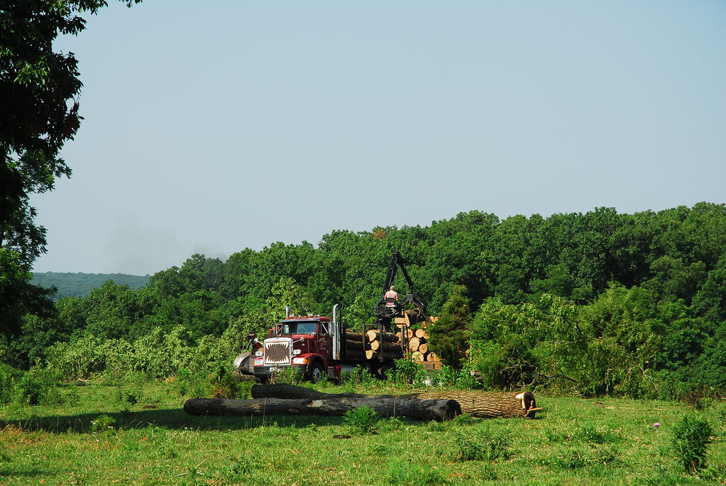 WARREN LAND_0013 LOGGING 1 Logs are loaded on to a semi tr… Flickr