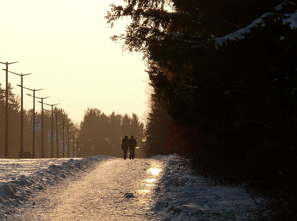 Road The last day of October, already winter in Siberia. W… Flickr