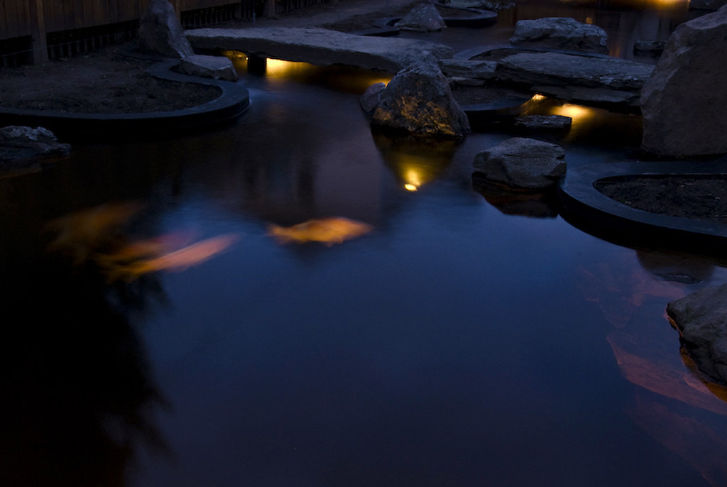 Jagged Moss Koi Pond 21 Clarke Smith Flickr