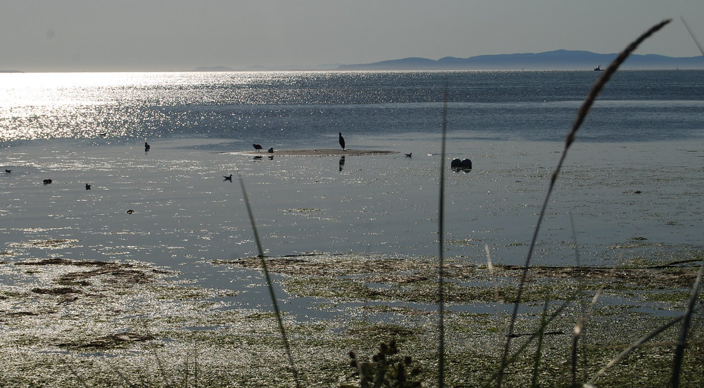 BIRCH BAY AND THE SAN JUANS AT HIGH TIDE..... Birch bay...… Flickr