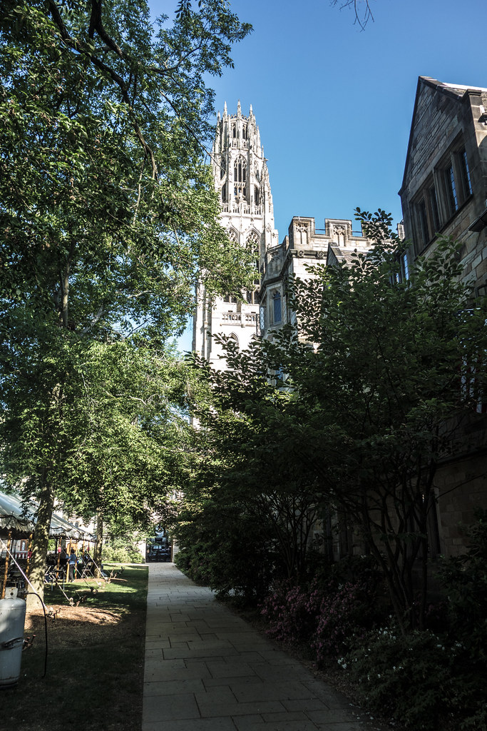 DSC02475.jpg Hackett Flickr