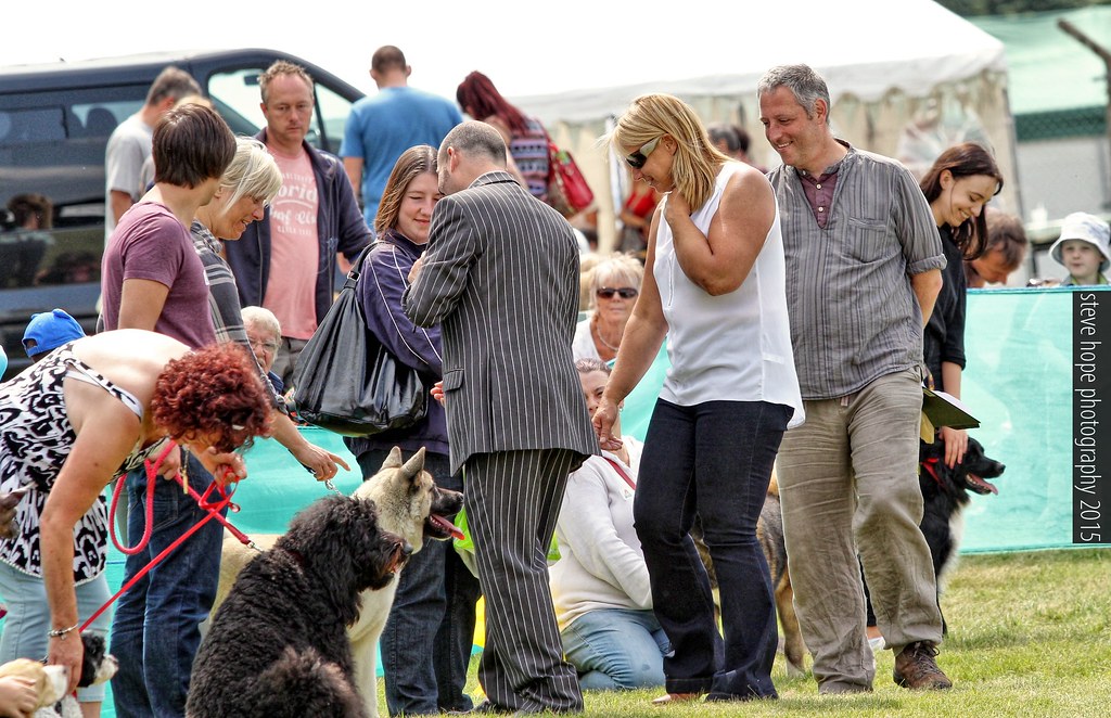 Jerry Green Dog Rescue North Lincolnshire Summer Show Flickr