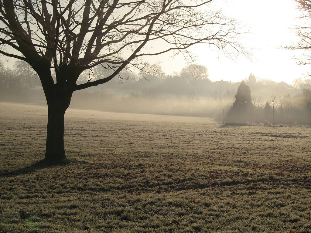 Rosehill Sutton Parks Flickr