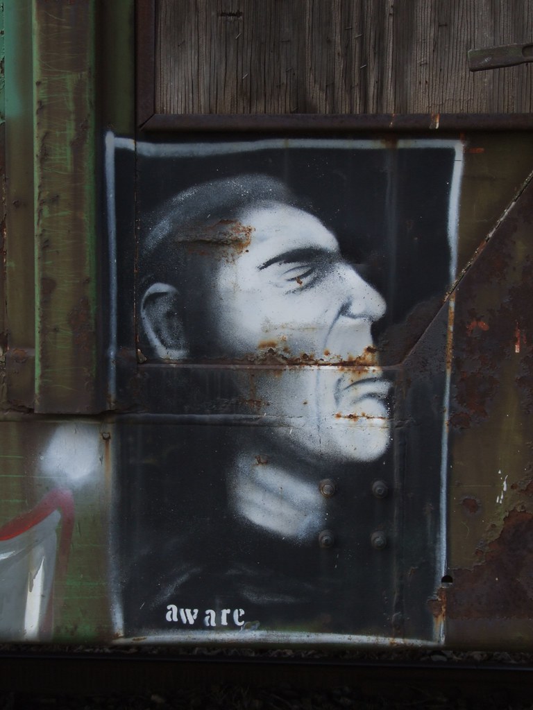 awake rattlesnake jones Flickr