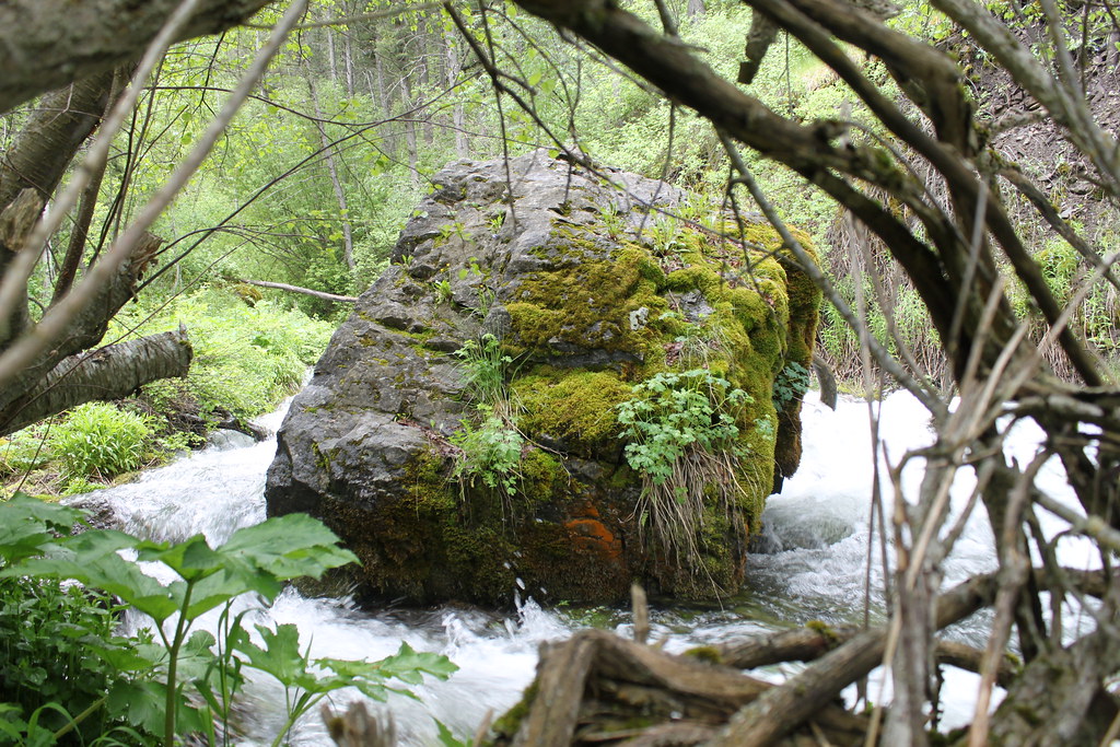 Spring Hollow Spring HollowLogan CanyonUtah d0zz Flickr