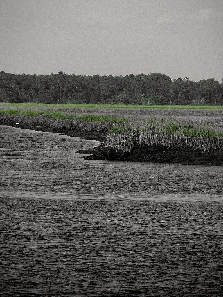 marsh... jericho riverGA Melissa Holtz Flickr