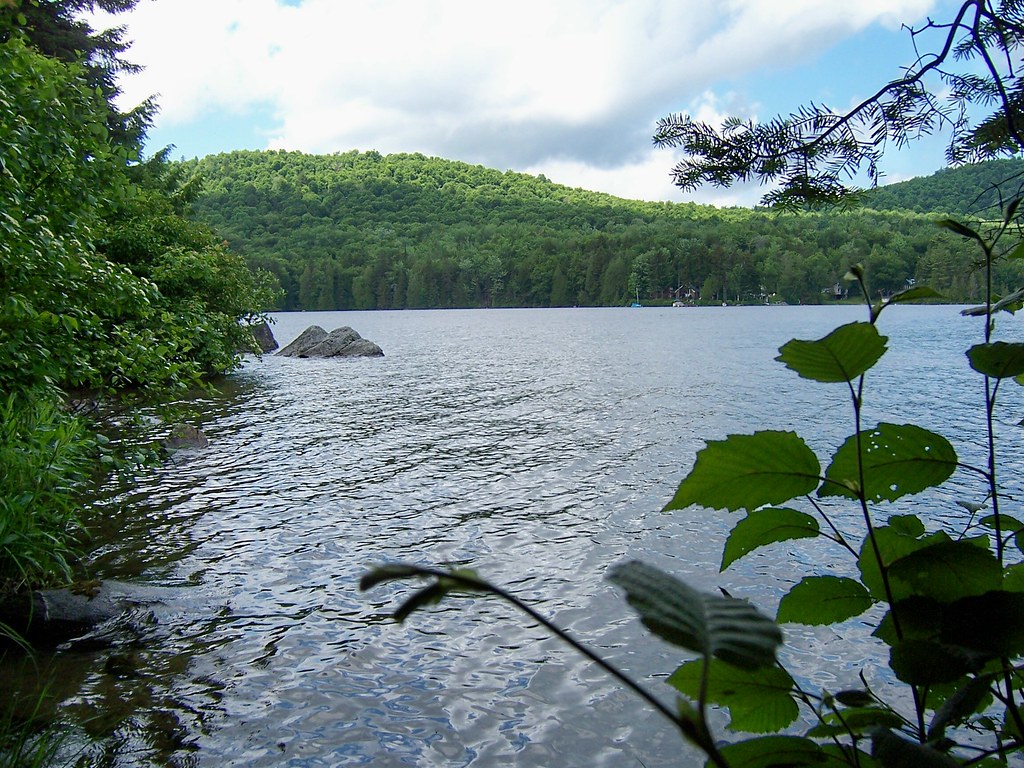 View of Maidstone Lake where the stream meets it. lori05871 Flickr