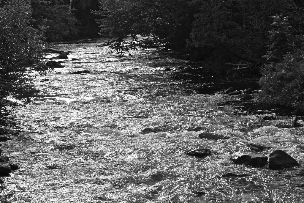 " THE RIVER RUNS THROUGH IT " Flickr
