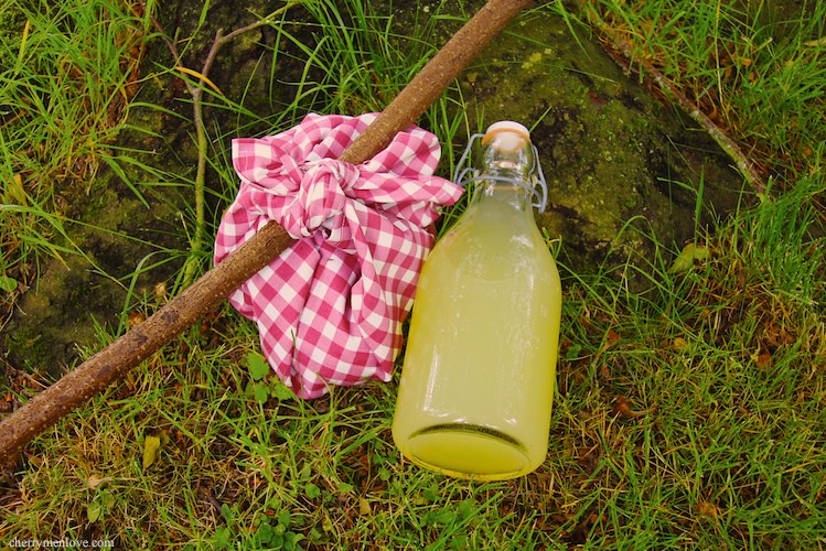 Making a picnic lunch in the style of Dick Whittington Flickr