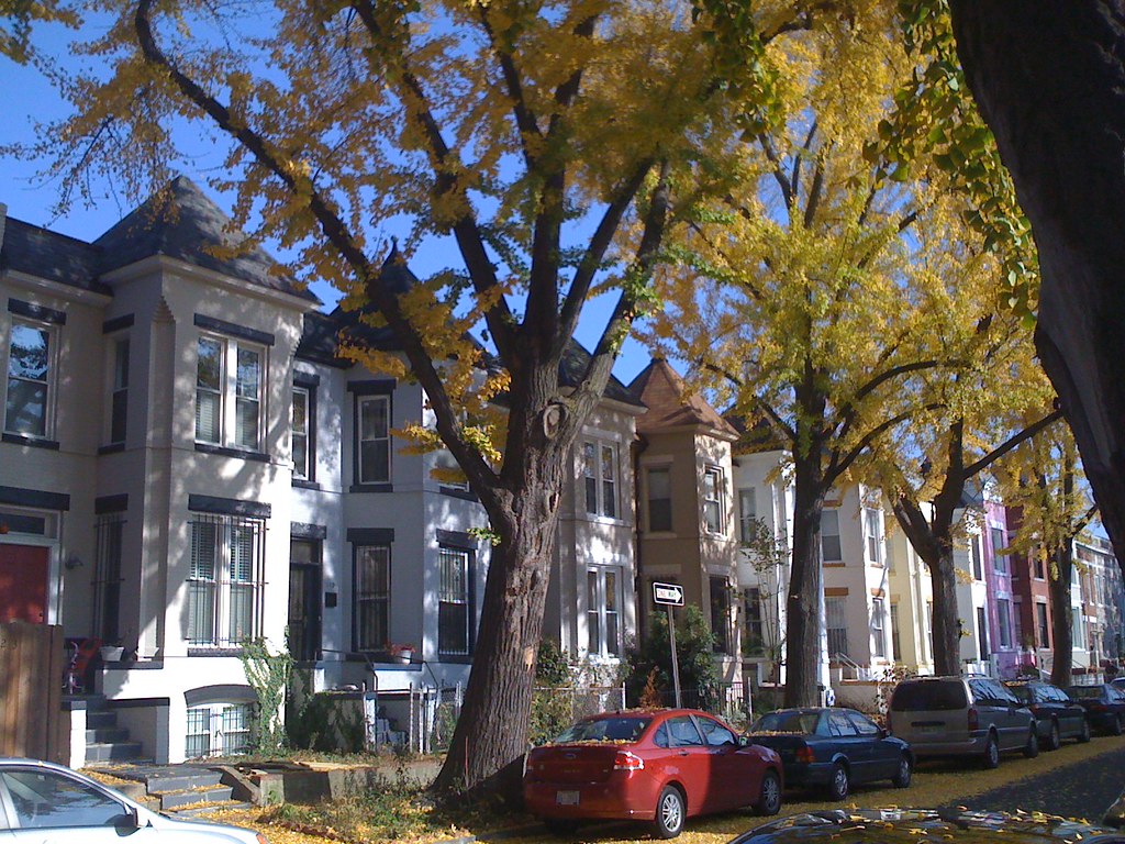 2009.11.22 Condo and Bloomingdale 004 yawper Flickr