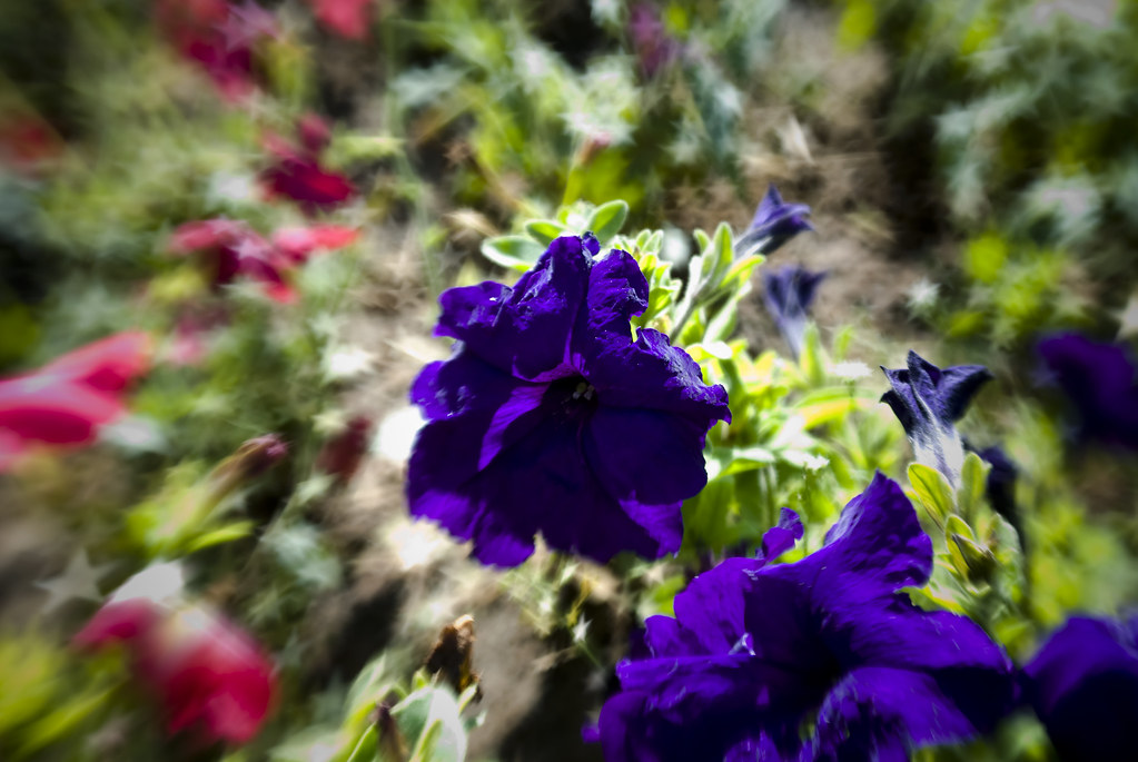 Specular_Highlights The main think I'd like to point out h… Flickr