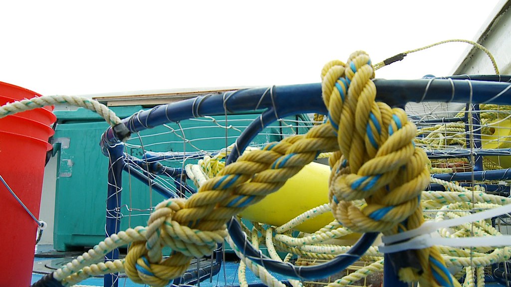 Grant's Getaways Crabbing on the Columbia River Estuary a photo on Flickriver