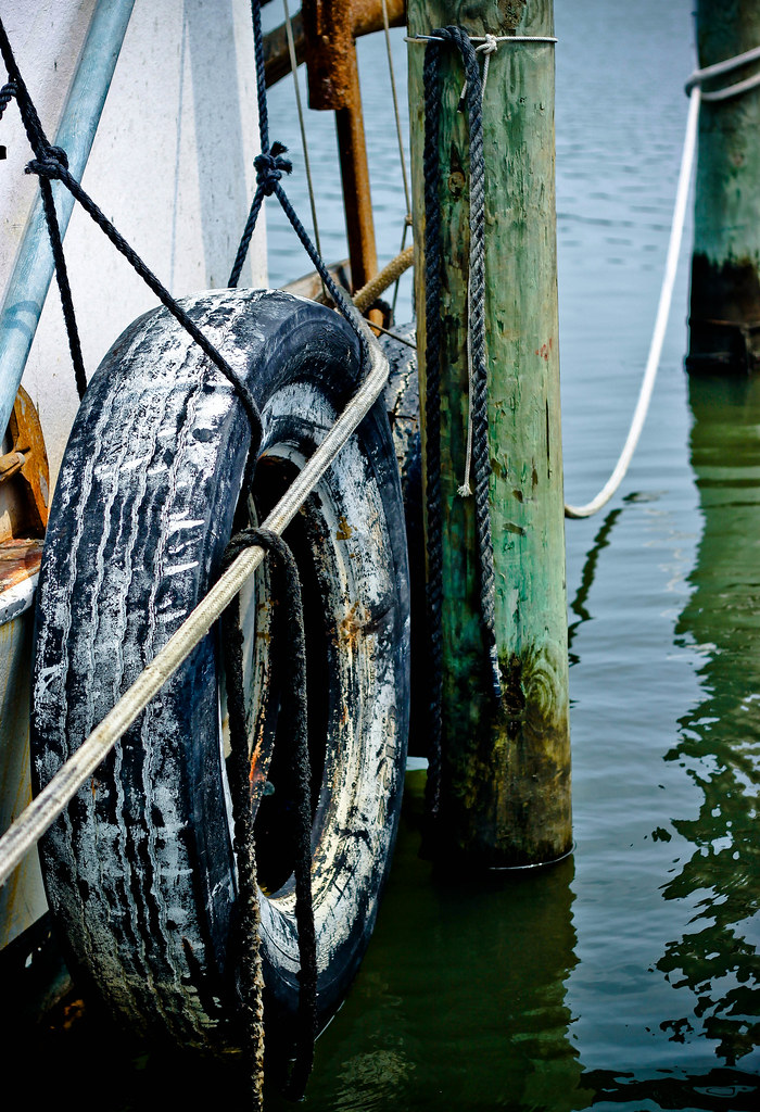 oyster6 image from oyster, va. 0n the eastern shore. Jeff Sharpe