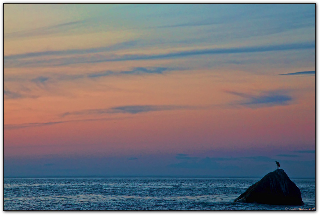 Le heron philosophe L’automne s’en vient, j’ai les bleus. … Flickr