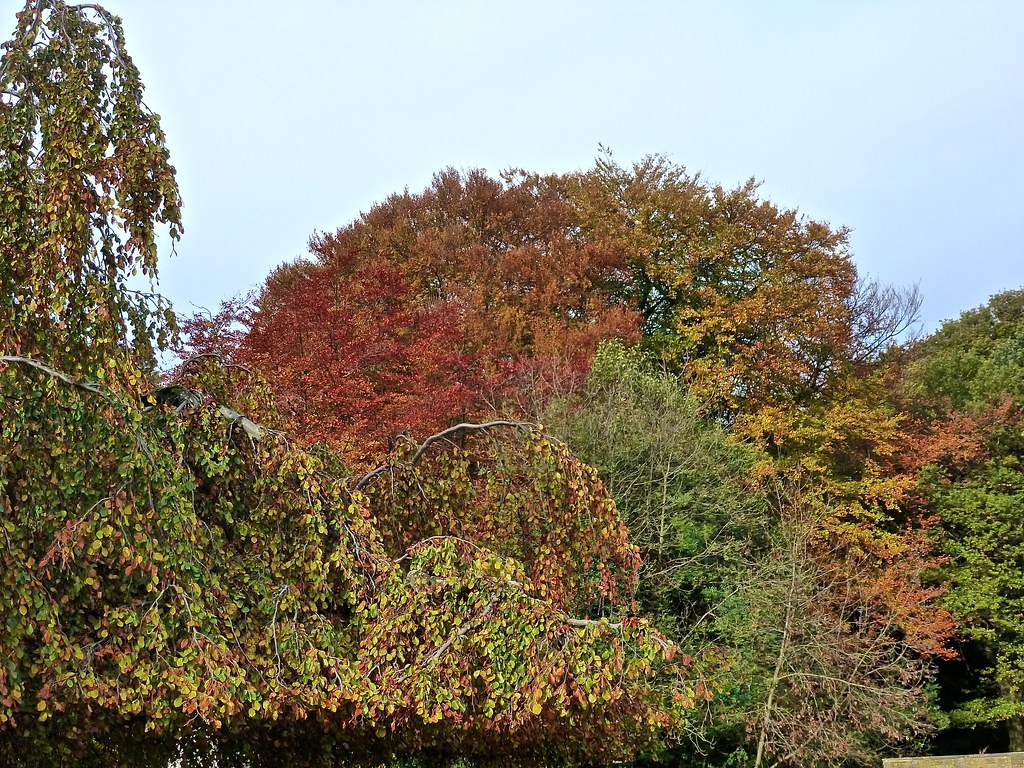 Sheffield Endcliffe Park The Porter Valley Endcliffe P… Flickr
