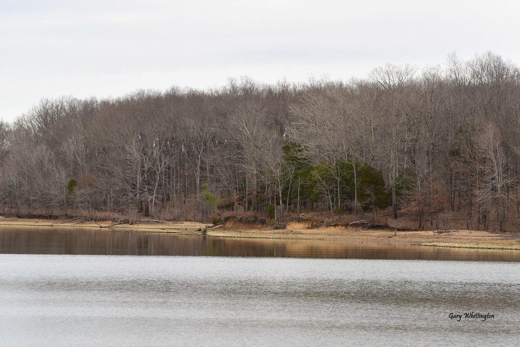 Willow Bay_5051 Winter Shoreline of Willow Bay. Land Betwe… Flickr