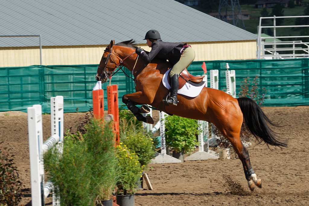 HunterJumper equestrian event in Estes Park, CO. Best vie… John