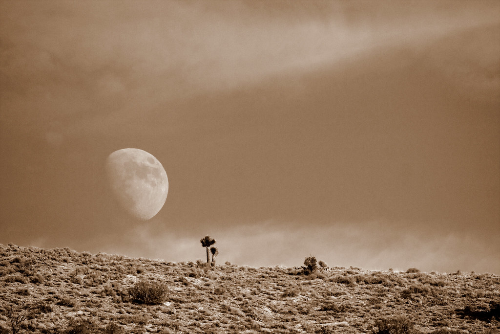 Moon Rise Lida, NV seabamirum Flickr