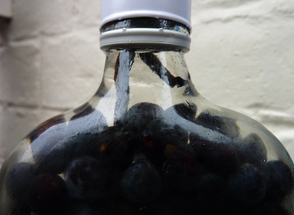 making sloe gin_vanilla pod method making sloe gin Novembe… Flickr