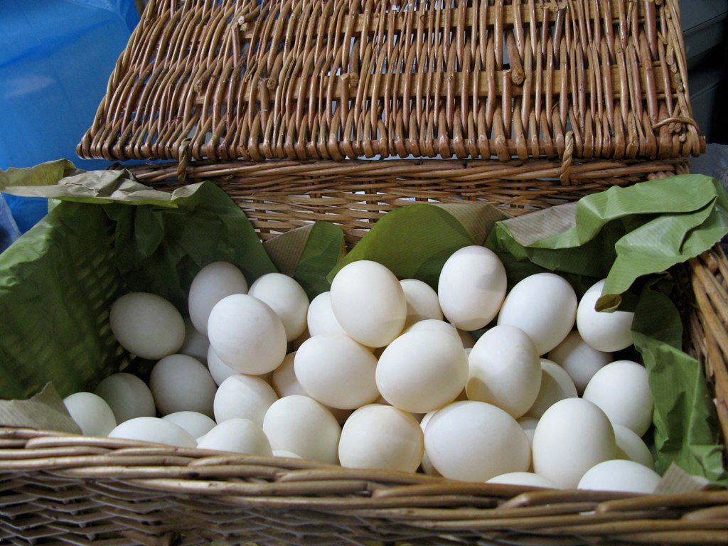 Eggs in One Basket John.U Flickr