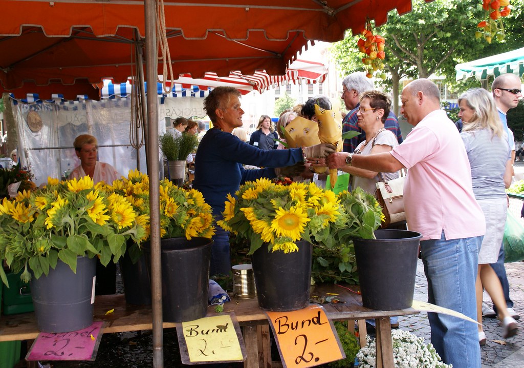 Mainz, Markt, Blumenstand (market, flower stall) HENMagonza Flickr
