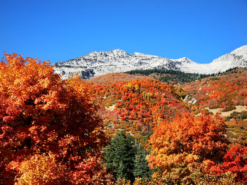 Lone Peak Autumn Took a drive yesterday to see these incre… Flickr