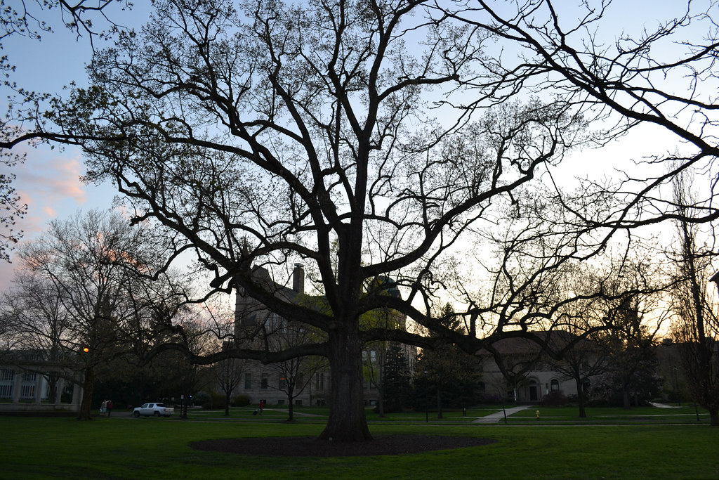 Oberlin (5/6/11) Oberlin photos before the Oberlin Folk Fe… Flickr