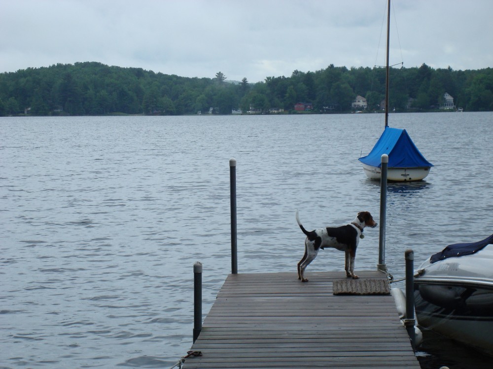 Lake Iroquois, VT Indie Ruth Flickr