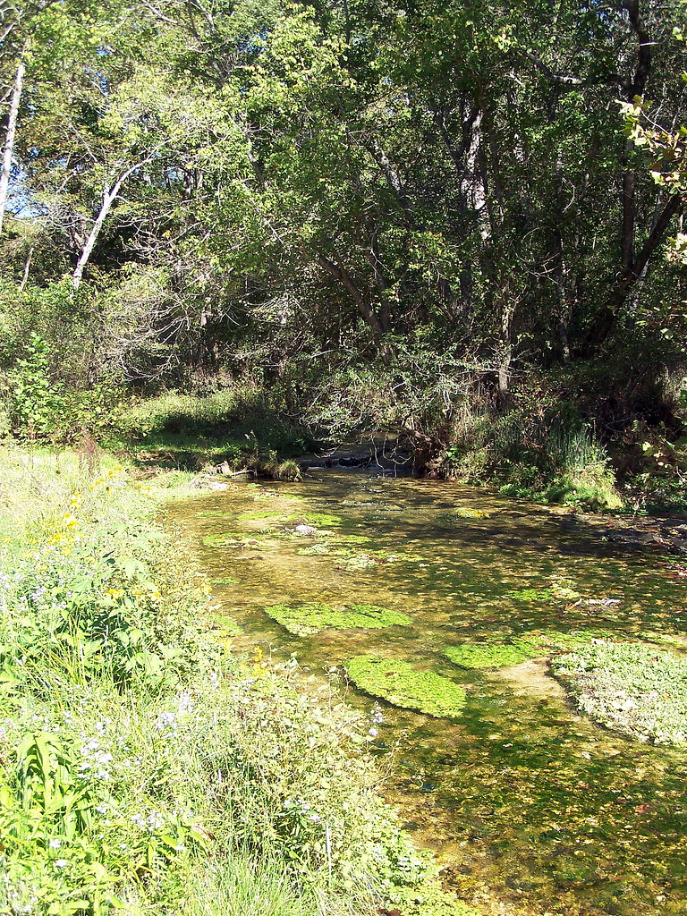 Current River Pulltite Spring Branch ozarkpaddler Flickr