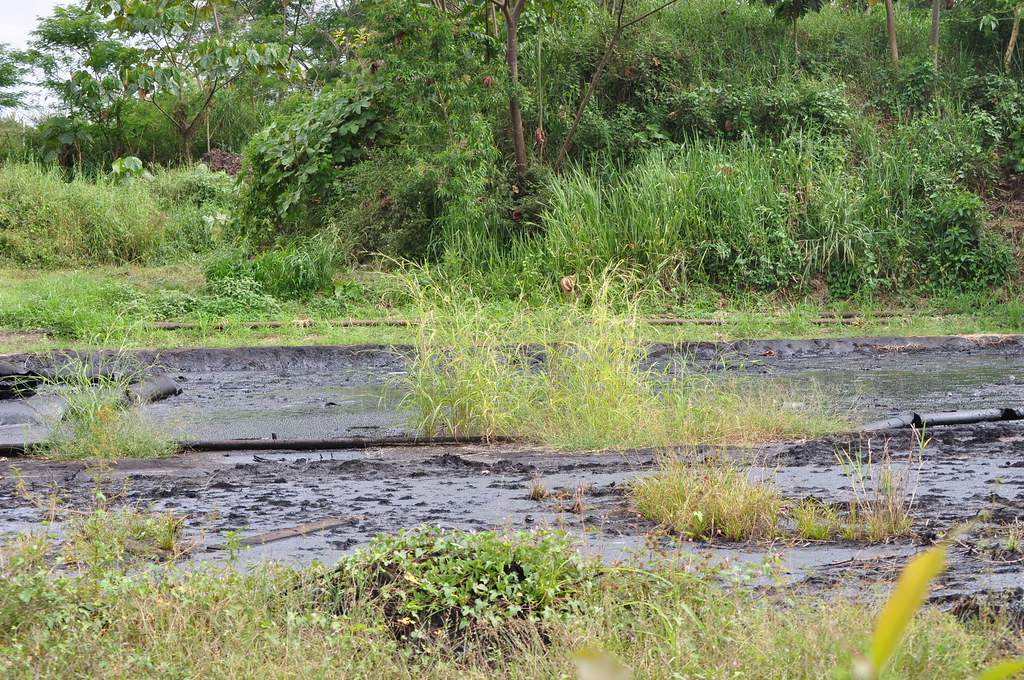 An oil waste pit. This is one of more than 900 openair, u… Flickr