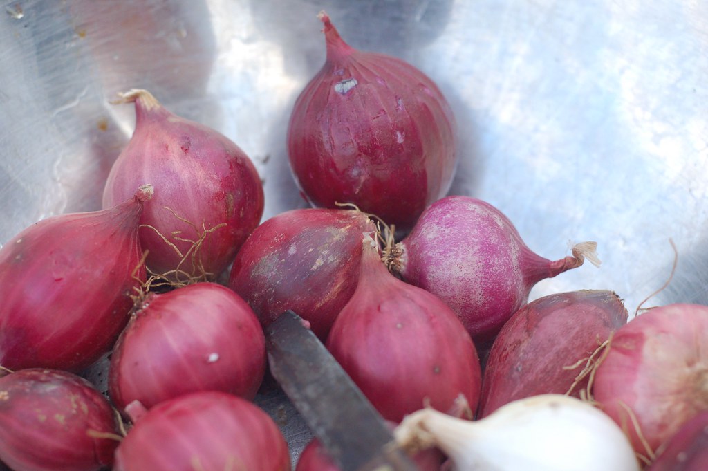 Baby red onions (NOT PEARLED) Seamus Holman Flickr