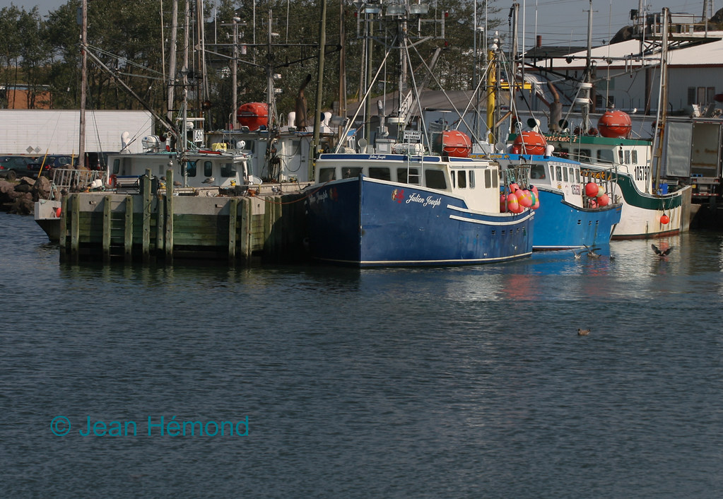 PETITDEGRAT HARBOUR naturepainter Flickr