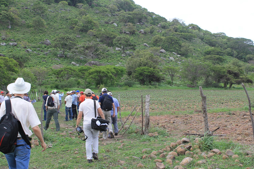 Trinidad Llano Largo Asocam GCO Flickr