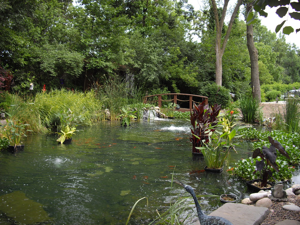 Koi Pond Rhea C Flickr