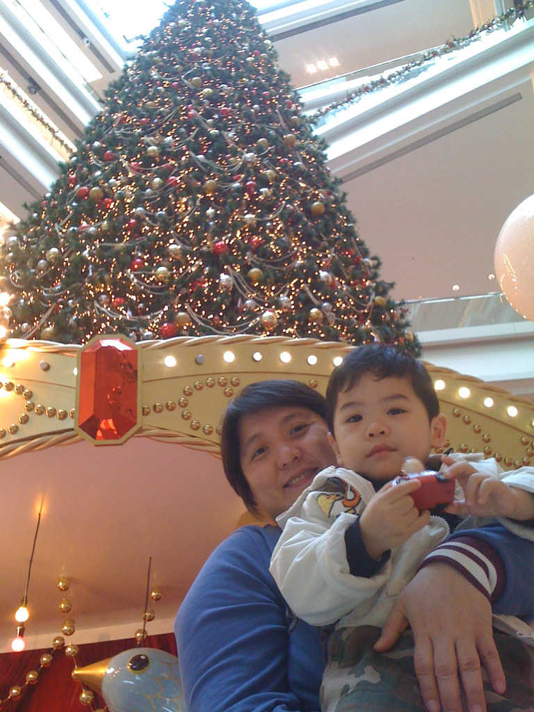 Under the Christmas tree Lawrence Mak Flickr