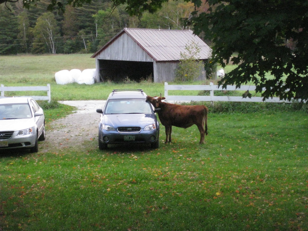 Danby vT Oct 2 (15) greenwestmichigan Flickr