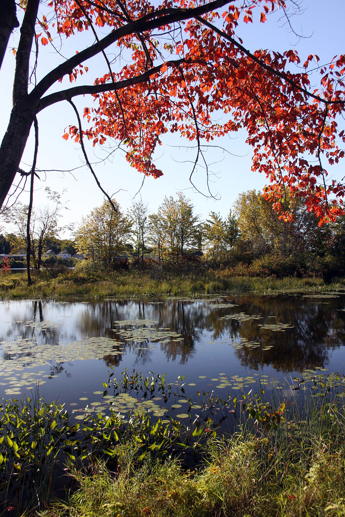 North River Road Auburn Sharon Flickr