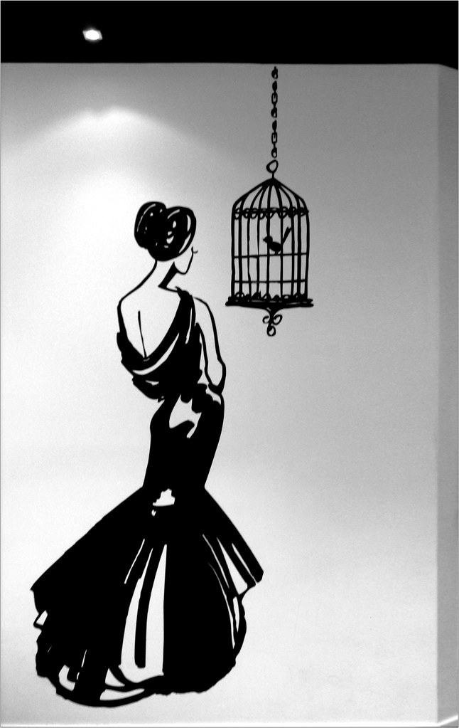 la dona i l'ocell [1]234 bNat! Flickr