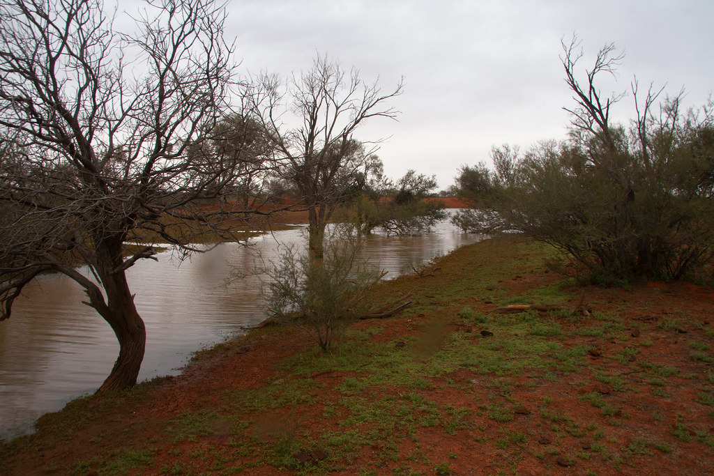 Cadney(Homestead roadhouse) to Curtin Springs(roadhouse) Flickr