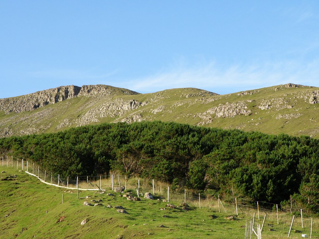 Plantasjan The Park of Vágur, Faroe Islands Trees don't … Flickr