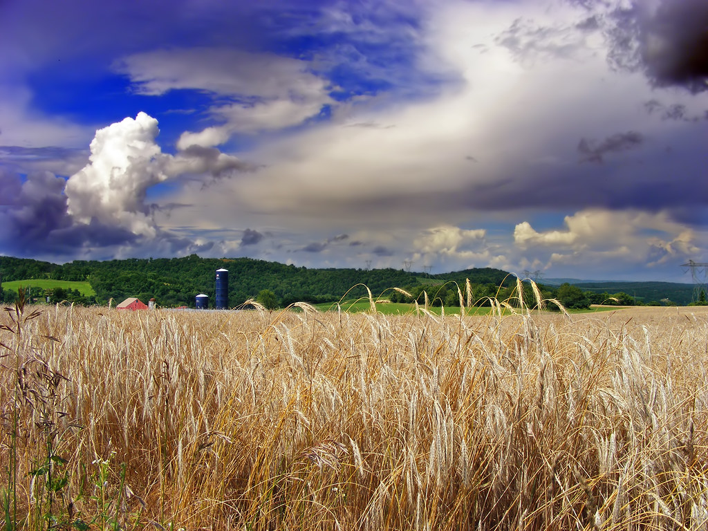Unsettled Lower Mount Bethel Township, Northampton County