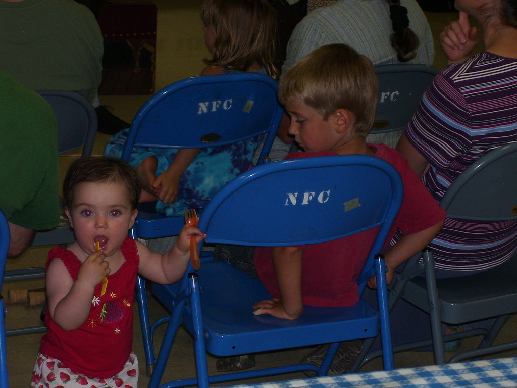 Cinderhood Newfield Public Library Flickr